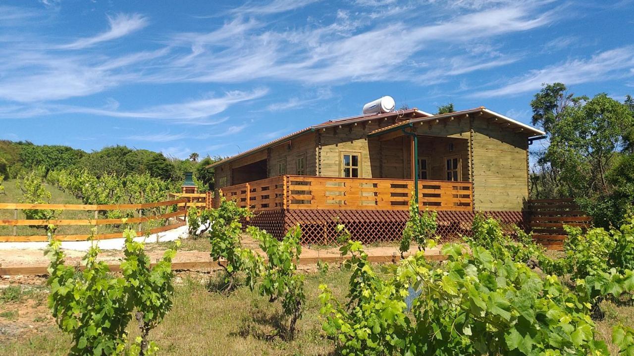 פוז דו ארליו Casa Entre Praias מראה חיצוני תמונה